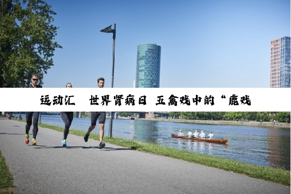 运动汇丨世界肾病日 五禽戏中的“鹿戏”助肾病人群益气补肾