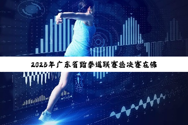 2025年广东省跆拳道联赛总决赛在佛山收官