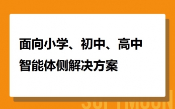面向小学初中高中学校智能体侧解决方案